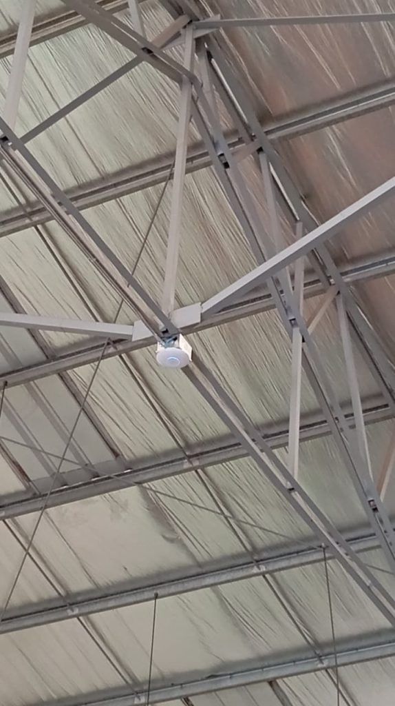 WhatsApp Image 2026-02-25 at 7.21.10 PM (2)